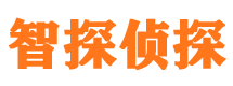 新宁市私家侦探